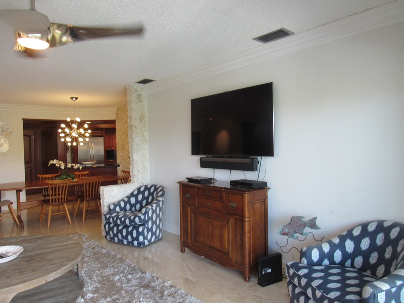 Living Room Television